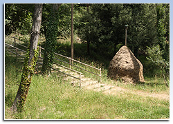 Sant Martí de Riells